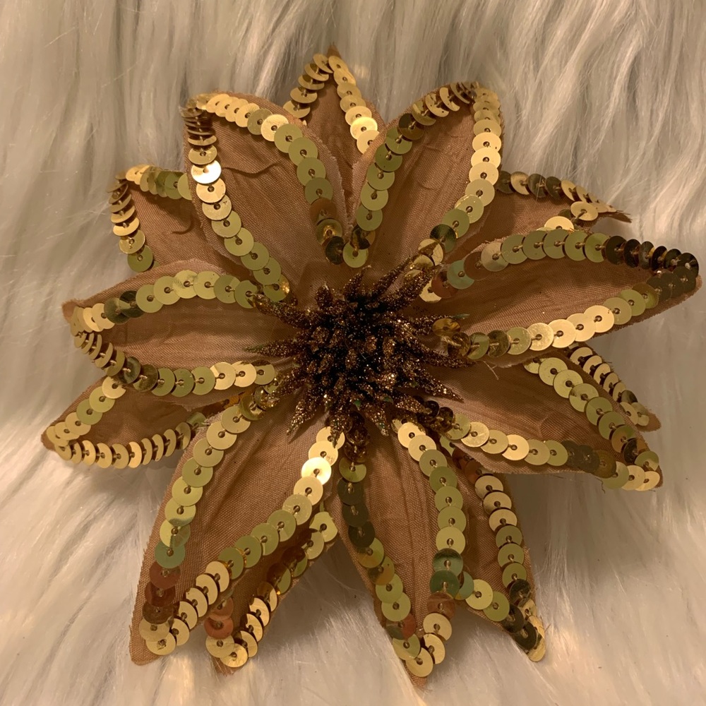 Beautiful Hair clip/tie